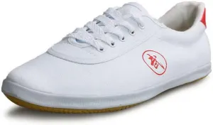 Canvas Kung Fu Tai Chi Shoes for Men Women,Breathable Training Sneakers,Martial Arts Taekwondo Training Performance Exercises