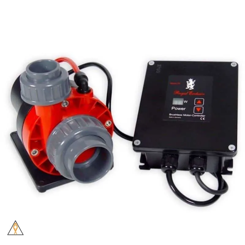 Red Dragon 3 Mini Speedy 50W DC Pump - Royal Exclusiv