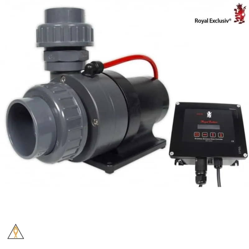 Red Dragon Speedy 230W DC Pump - Royal Exclusiv